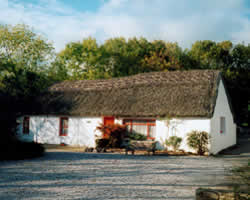 Exterior. In the last summer, we've renewed the thatching to its full glory.